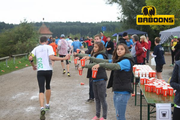 Seenlandmarathon 2013