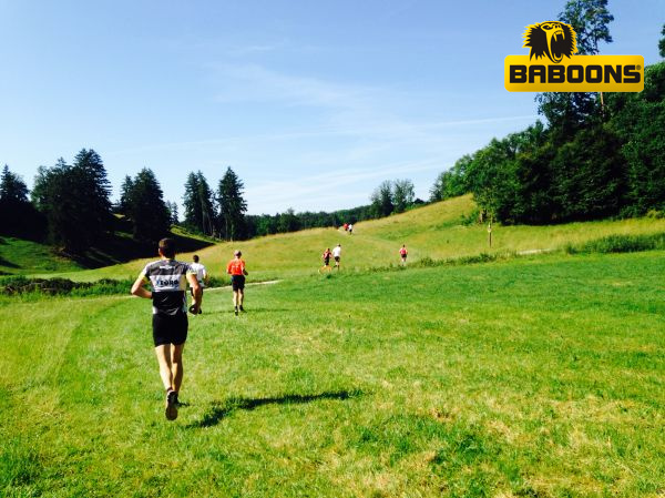 Altmühltrail 2014