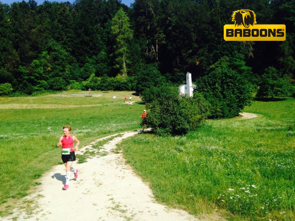 Altmühltrail 2014