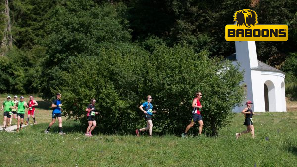 Altmühltrail 2014