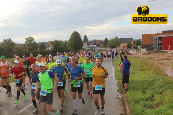 Seenlandmarathon 2014