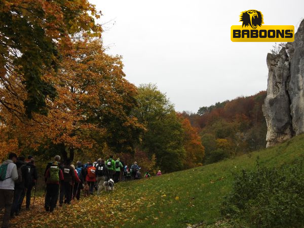 Altmühltrail 2019