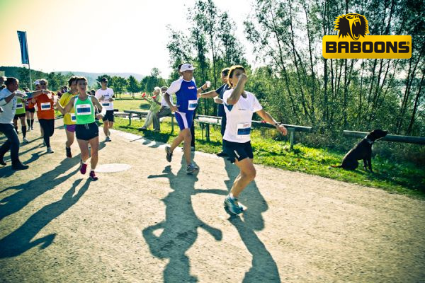 SLM 2012